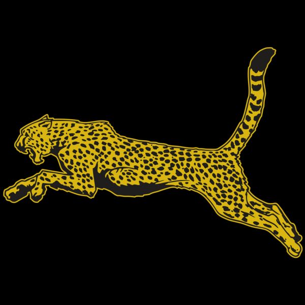 AR CHEETAH 10 RC Thumbnail