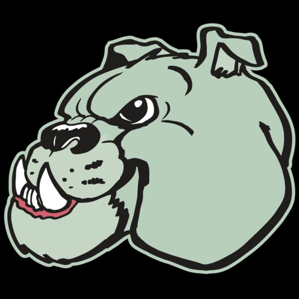 AR BDOG 29 RC Thumbnail