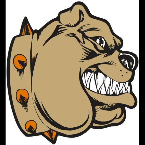 BAW BULLDOG 02 RC Thumbnail