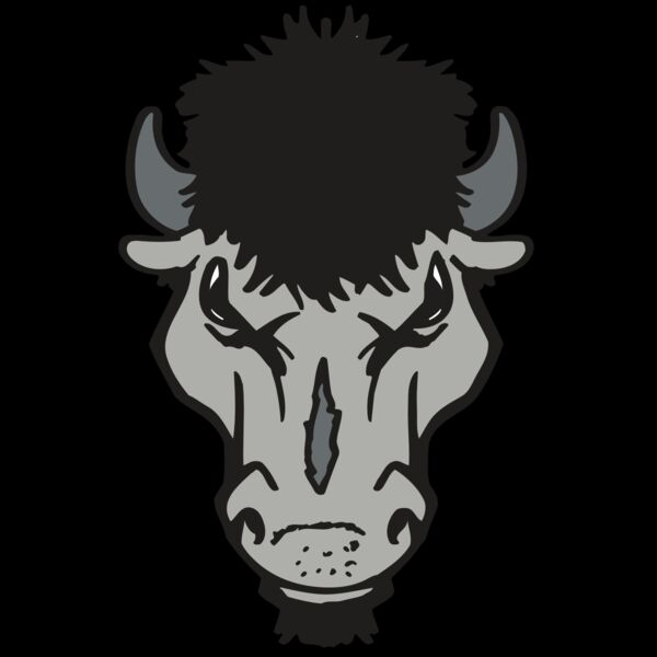 AR BUFFALO 15 RC Thumbnail