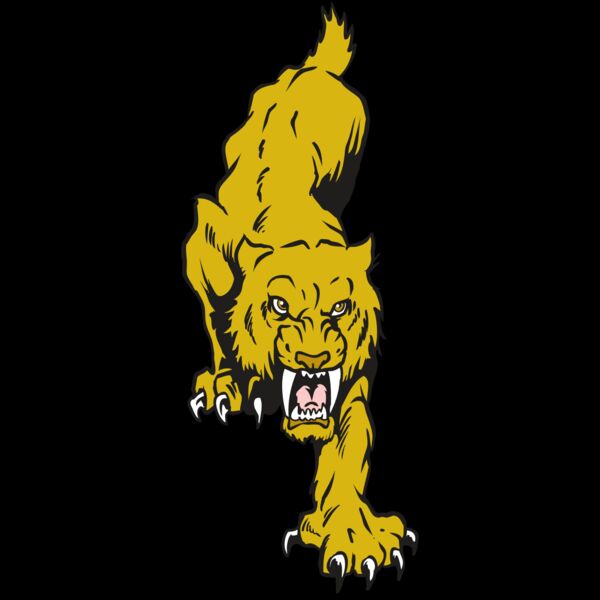 AR30 SABER 08 RQC Thumbnail