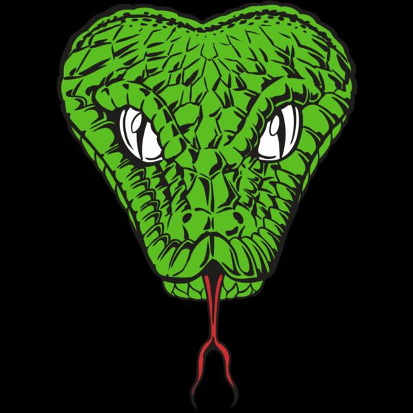 BAW SNAKE 08 RC Thumbnail