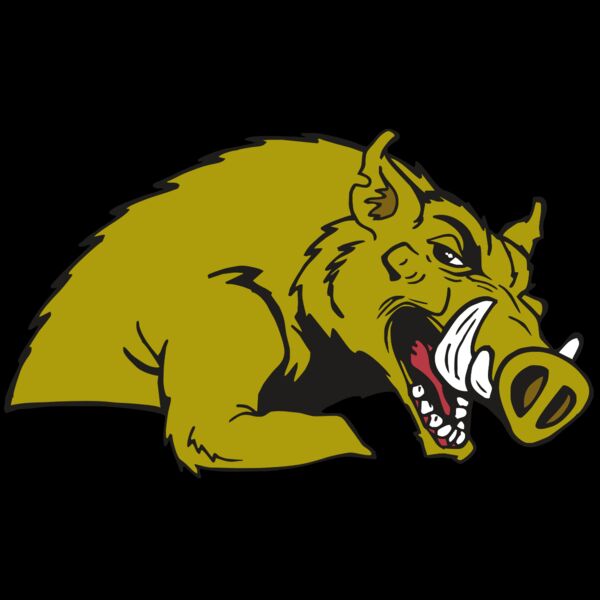 AR RAZORBACK 23 RC Thumbnail