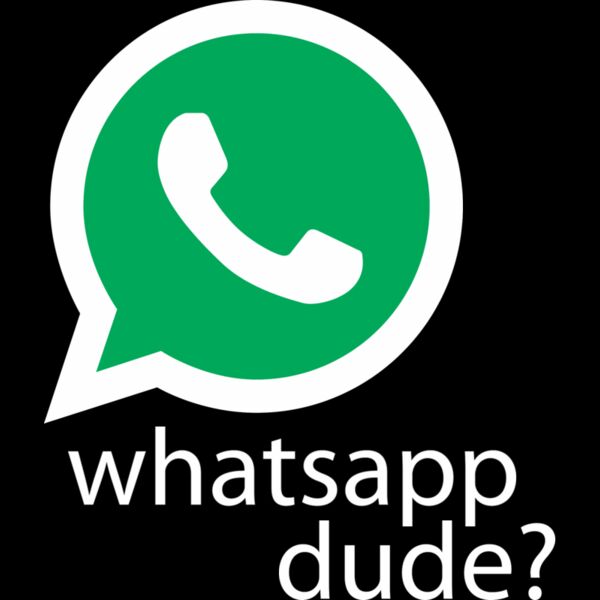 Whatsapp Dude Thumbnail