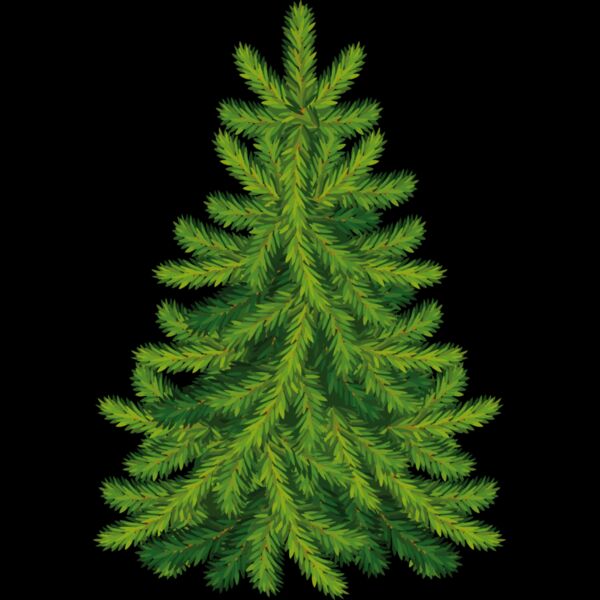 Christmas Trees 006 Thumbnail